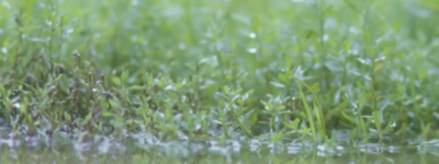 贵州特大暴雨来袭：地铁站被淹没，喷水池站真的喷水