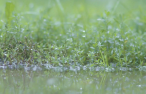 贵州特大暴雨来袭：地铁站被淹没，喷水池站真的喷水